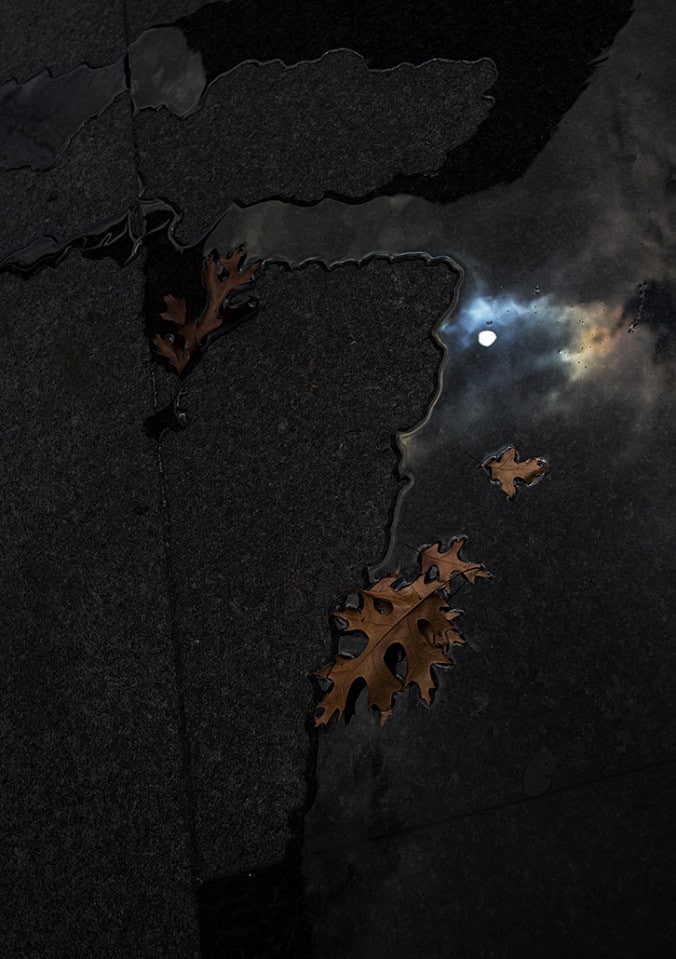 Marble and Fall, St. Louis Missouri. Photo (c) Todd Thomas